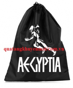 Túi để giầy