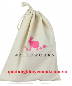 Túi để giầy