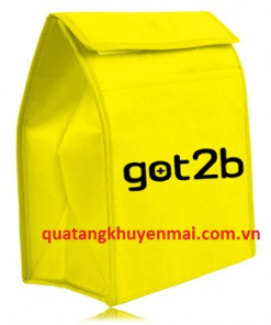 Túi giữ nhiệt đựng đồ ăn