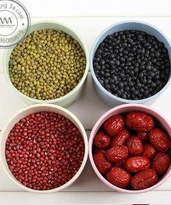 Hộp đựng thực phẩm Levant (tròn) - Thân thiện với môi trường