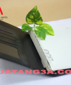 so qua tang quang cao 9