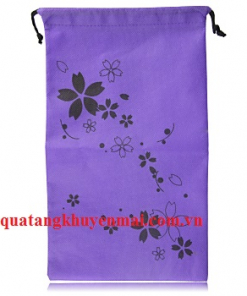 Túi để giầy