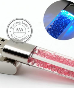 usb thoi kim cuong 5