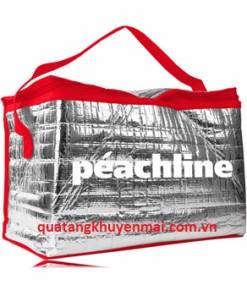 Túi picnic giữ nhiệt
