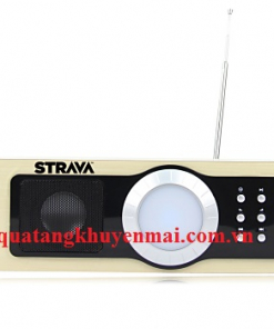 Đài FM vỏ gỗ