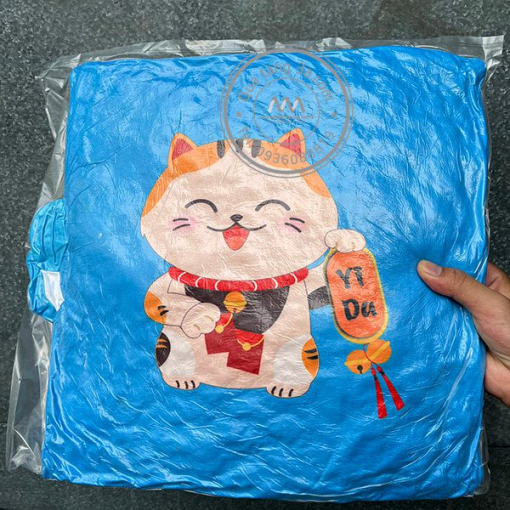 Gối tựa in theo yêu cầu - Khách hàng YiDa - Hình ảnh 5