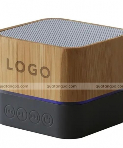 loa bluetooth tre 2