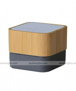 loa bluetooth tre 3