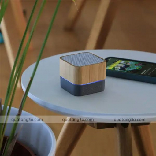 Loa bluetooth tre | Quà tặng khai trương, quà tặng mùa lễ hội